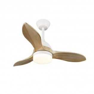 Ventilador de techo LED Tasme CCT Dim (20W)