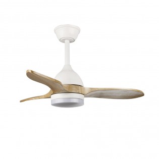 Ventilador de techo LED Tasme CCT Dim (20W)