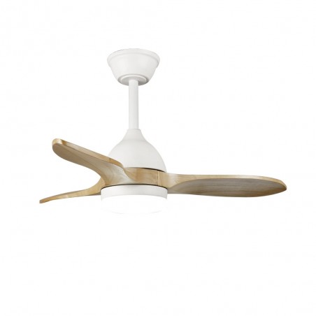 Ventilador de techo LED Tasme CCT Dim (20W)