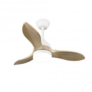 Ventilador de techo LED Tasme CCT Dim (20W)