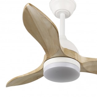 Ventilador de techo LED Tasme CCT Dim (20W)