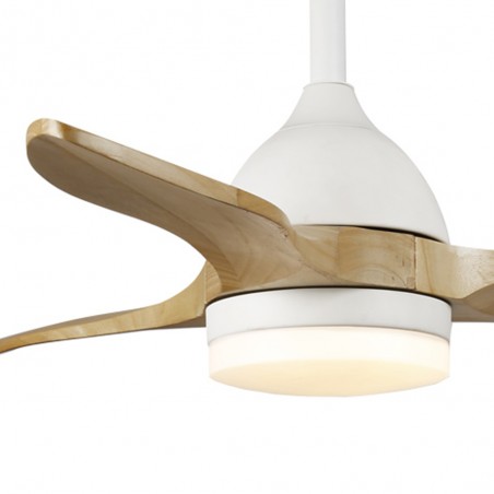 Ventilador de techo LED Tasme CCT Dim (20W)