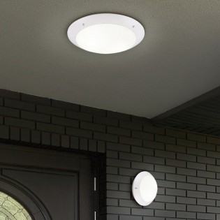 Plafón de techo de exterior...