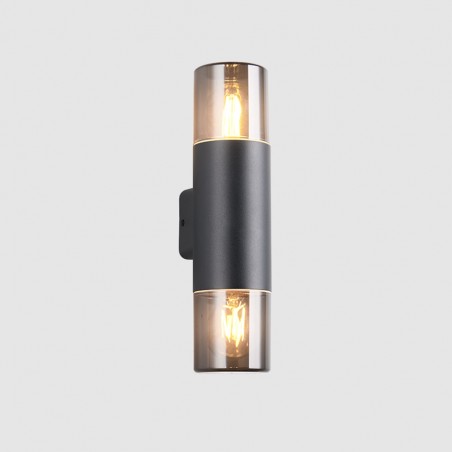 Aplique de pared exterior Hoosic (2 Luces)