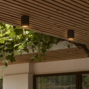 Foco de superficie de...