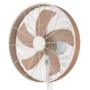 Ventilador de pie Alcañiz (50W)