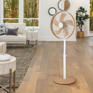 Ventilador de pie Alcañiz...