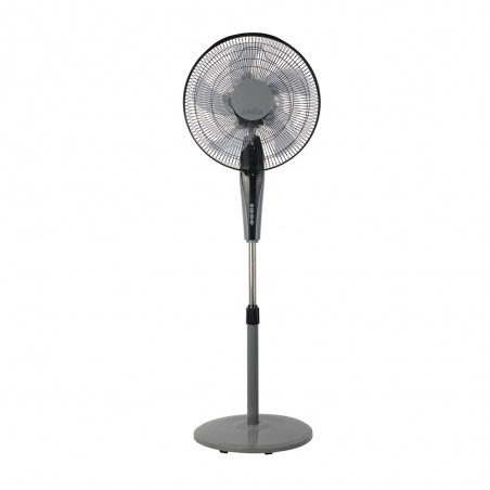 Ventilador de pie Borlon (40W)