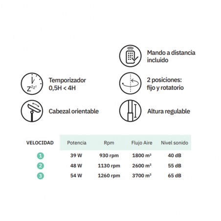 Ventilador de pie Borlon (40W)