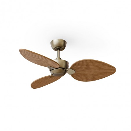 Ventilador de techo Alma 100 Latón 3 Aspas