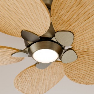 Ventilador LED Alma 100...