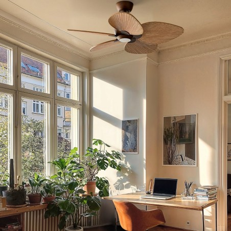 Ventilador LED Alma 100 Óxido 5 Aspas CCT Dim (6.5W)