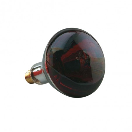 Bombilla Infrarroja 250W