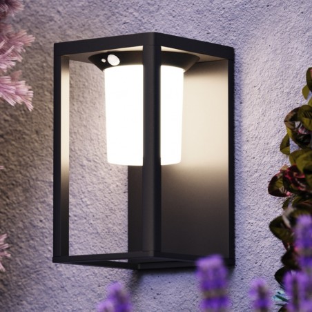 Aplique solar LED con sensor de movimiento Shatter (2W)