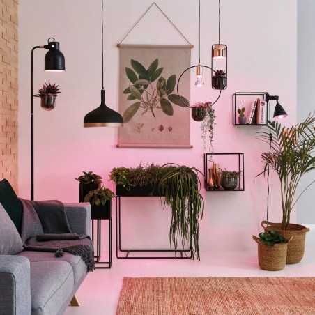 Lámpara colgante Fanja