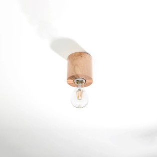 Foco de superficie Lion...