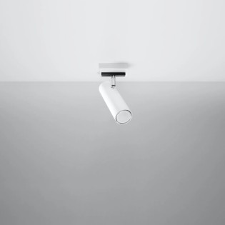 Foco Zani blanco, 1 luz