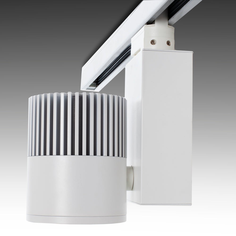 GZ LED Faretto Da Esterno 30W 2700LM 4000K Luce Neutra IP65 - Proiettore Per Giardino E Cortile