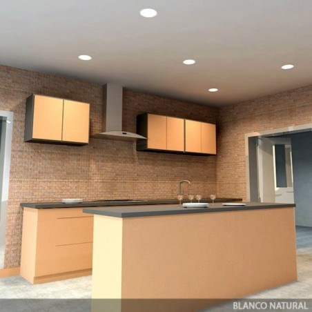 Placa LED 12W 860Lm  4200ºK Circular 40.000H