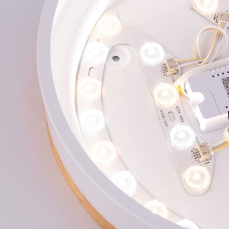 Plafón LED 24W 2493Lm Mando a Distancia (Intensidad-CCT) 10.000H