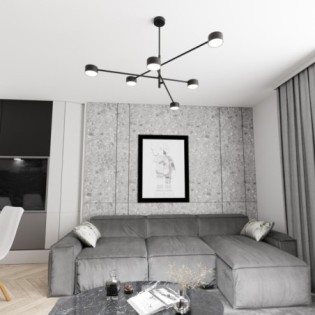 Lámpara de techo Feru negro (6 luces)