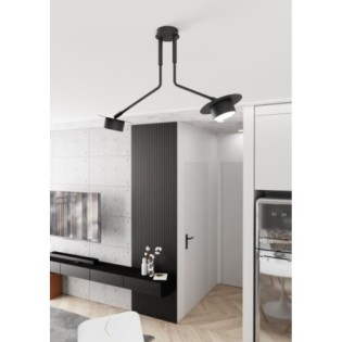 Lámpara de techo Tevra negro (2 luces)