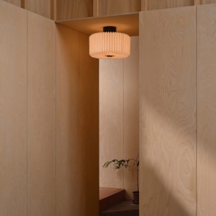 Plafón de techo Vivienne