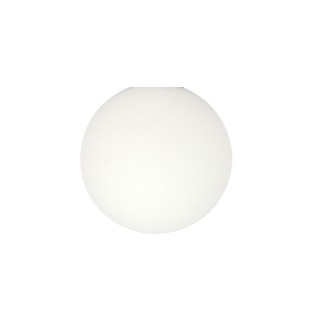 Tulipa Opal 20cm para...