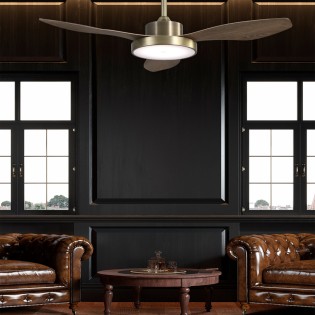 Ventilador de techo LED...