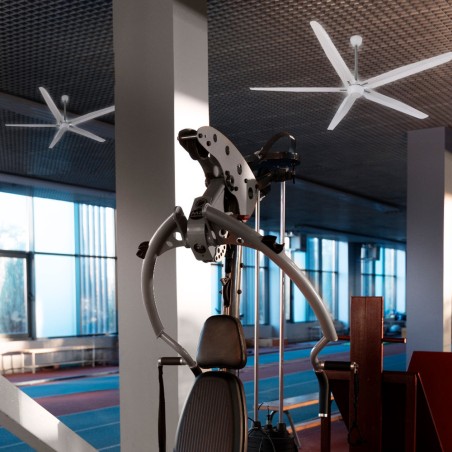 Ventilador de techo industrial Haruka