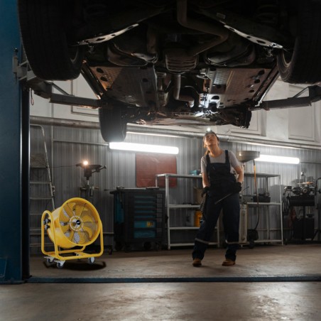 Ventilador industrial Rashaba