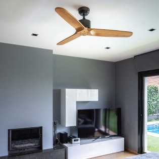 Ventilador de techo Etesian