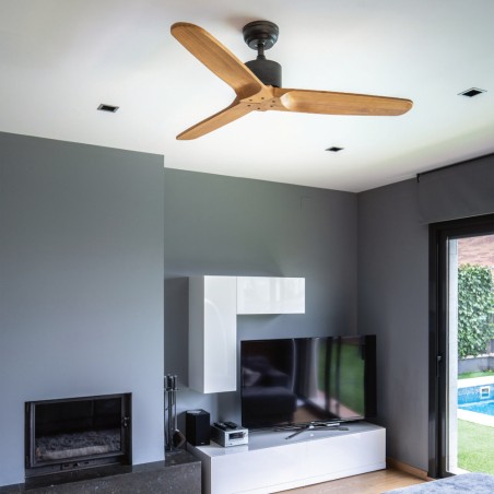 Ventilador de techo Etesian