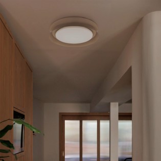 Plafón de techo LED Tender II (24W)