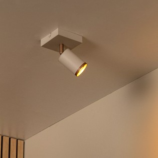 Foco de techo Regina