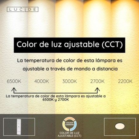 Plafón de techo LED Castor CCT RGB Dim (20W)