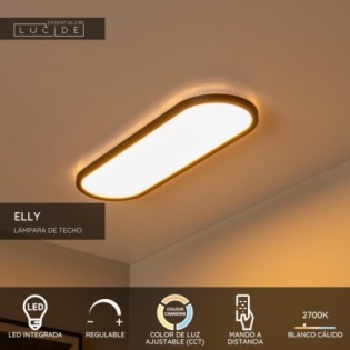 Plafón de techo LED Elly (24W)