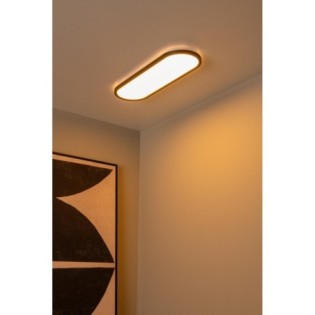 Plafón de techo LED Elly (24W)