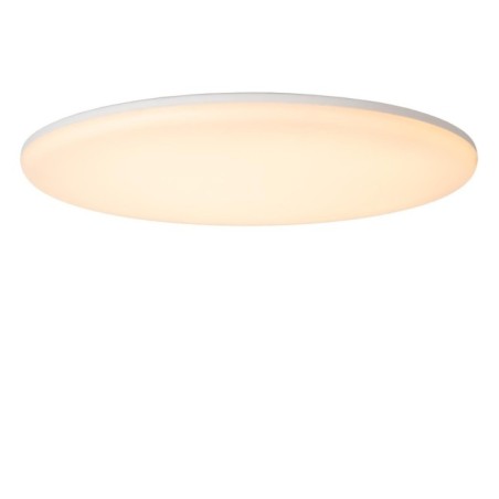 Plafón de techo para baños LED Olson (36W)