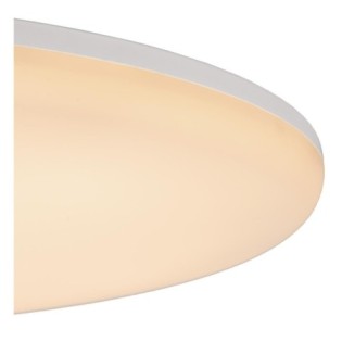 Plafón de techo para baños LED Olson (36W)
