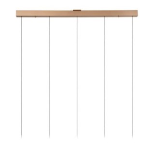 Lámpara colgante LED Santiago (5x10W)