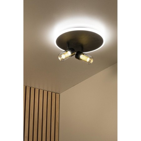 Plafón de techo LED Everina (2x5W)