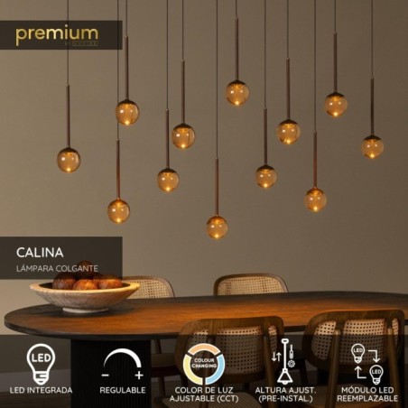 Lámpara de techo LED Calina II (12x7W)