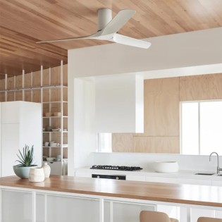 Ventilador de techo Londo