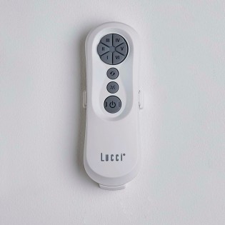 Ventilador de techo con luz Riviera