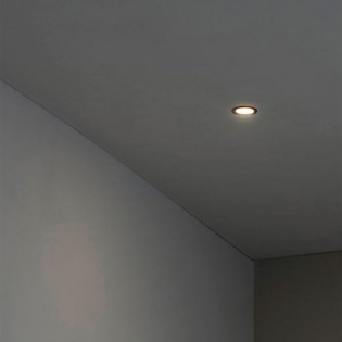 Empotrable orientable LED Fox (5W)