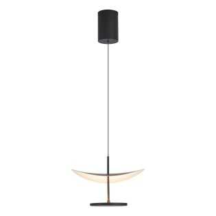 Lámpara colgante LED Abisal (12W)