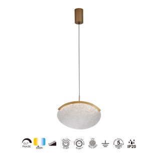 Lámpara de techo LED Oasis