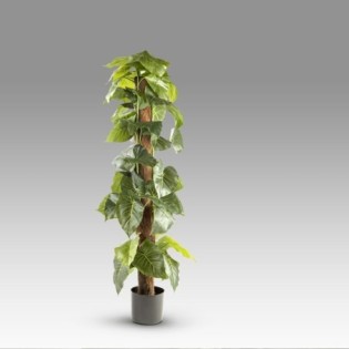 Planta Artificial Taro