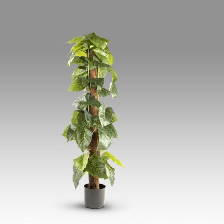 Planta Artificial Taro